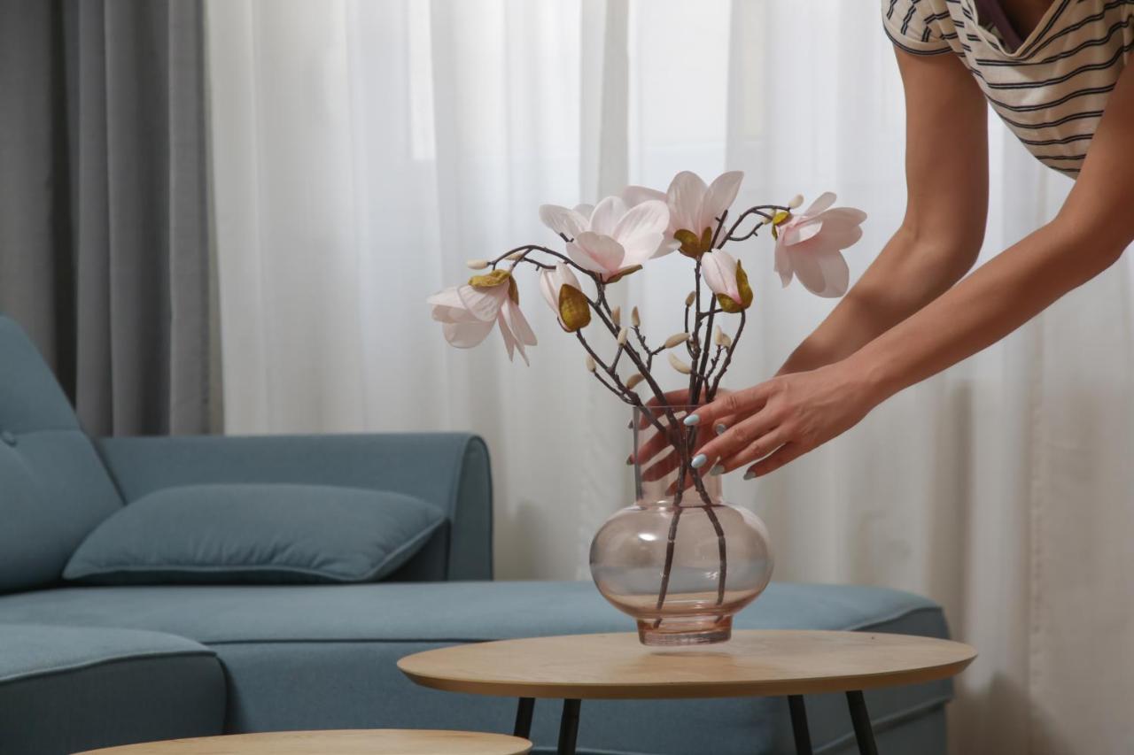 Apartment Supernova Center - Free Private Parking Novi Sad